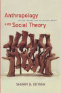 Anthropology and Social Theory: Culture, Power, and the Acting Subject
