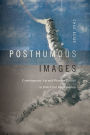 Posthumous Images: Contemporary Art and Memory Politics in Post-Civil War Lebanon