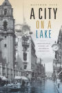 A City on a Lake: Urban Political Ecology and the Growth of Mexico City