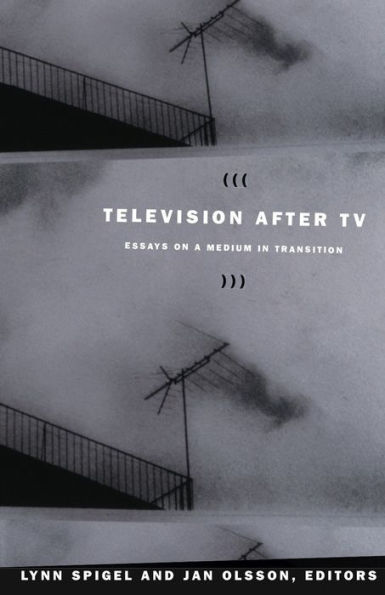 Television after TV: Essays on a Medium in Transition