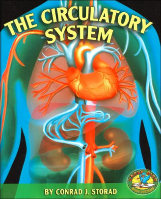 The Circulatory System (Early Bird Body Systems Series) by Conrad J