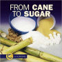 From Cane to Sugar