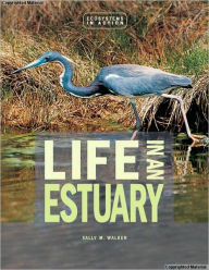 Life in an Estuary