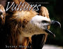 Vultures (Animal Scavengers Series)