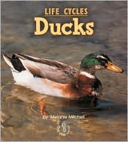 Life Cycles: Ducks (First Step Nonfiction Series)