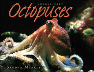 Octopuses