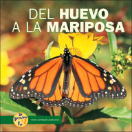 Del Huevo a la Mariposa (from Egg to Butterfly)