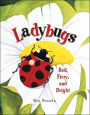 Ladybugs: Red, Fiery, and Bright