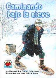 Caminando Bajo la Nieve