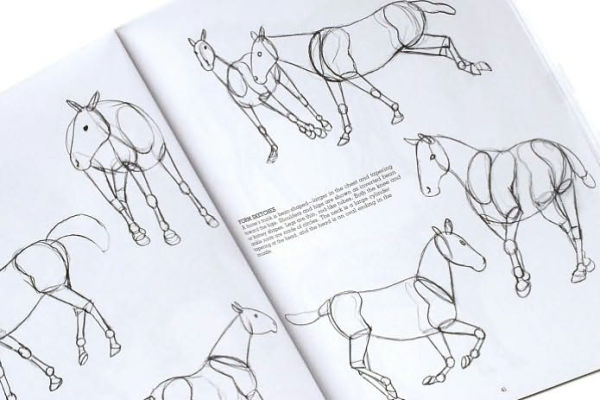 Drawing Animals: 30th Anniversary Edition