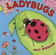 Ladybugs