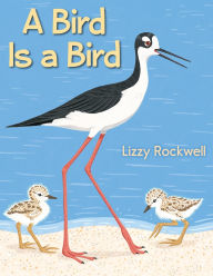 Title: A Bird Is a Bird, Author: Lizzy Rockwell