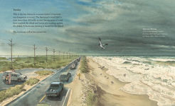 Alternative view 4 of Hurricane
