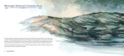 Alternative view 3 of The Seminoles (A First Americans Book)