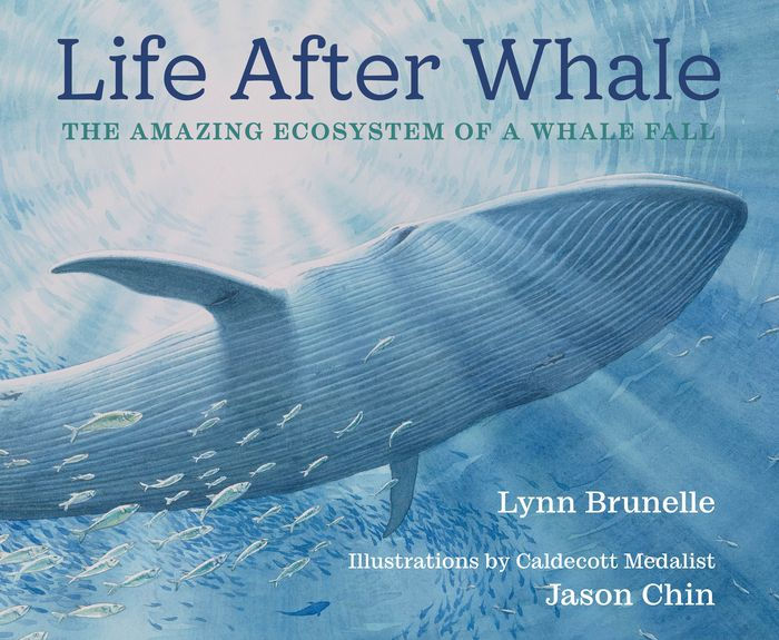 Life After Whale The Amazing Ecosystem of a Whale Fall by Lynn