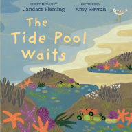 Title: The Tide Pool Waits, Author: Candace Fleming