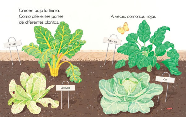 Las plantas me alimentan