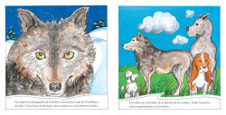 Alternative view 2 of Lobos