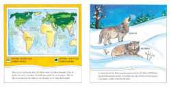 Alternative view 3 of Lobos