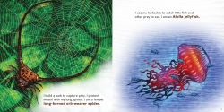 Alternative view 3 of We're Not Weird: Structure and Function in the Animal Kingdom