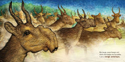 Alternative view 4 of We're Not Weird: Structure and Function in the Animal Kingdom