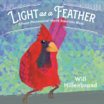Alternative view 1 of Light as a Feather: Fifteen Phenomenal North American Birds