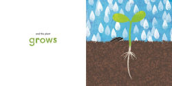 Alternative view 2 of A Seed Grows