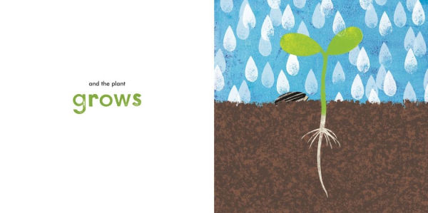 A Seed Grows