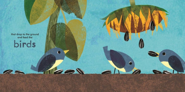 A Seed Grows