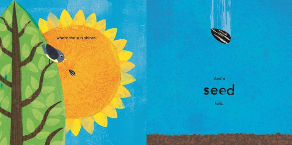 A Seed Grows
