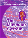 Muscular System (Insider's Guide to the Body Series)