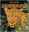 Jaguars
