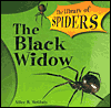 The Black Widow