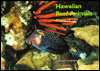 Title: Hawaiian Reef Animals: Revised Edition, Author: Edmund S. Hobson