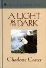 A Light in the Dark