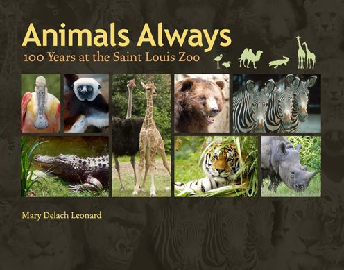 Animals Always 100 Years At The Saint Louis Zoo By Mary Delach