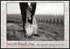 Sweet Medicine: Sites of Indian Massacres, Battlefields, and Treaties