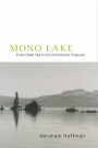 Mono Lake: From Dead Sea to Environmental Treasure