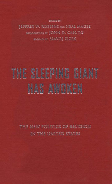The Sleeping Giant Has Awoken: The New Politics of Religion in the United States / Edition 1