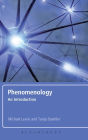 Phenomenology: An Introduction