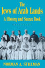 The Jews of Arab Lands: A History and Source Book / Edition 1