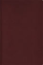 RVR, Biblia de estudio trasfondo cultural (El contexto lo cambia todo), Leathersoft, Rojo vino, Interior a color, con Índice, Comfort Print: Explora el mundo antiguo de la Escritura