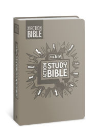 The NIV Action Study Bible, Leathersoft, Gray, Full Color