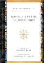James, 1-2 Peter, 1-3 John, Jude: Volume 11