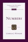 Numbers: An Introduction and Commentary
