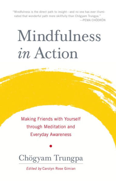 Mindfulness in Action: Making Friends with Yourself through Meditation and Everyday Awareness