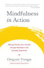 Mindfulness in Action: Making Friends with Yourself through Meditation and Everyday Awareness