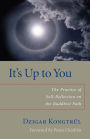 It's Up to You: The Practice of Self-Reflection on the Buddhist Path