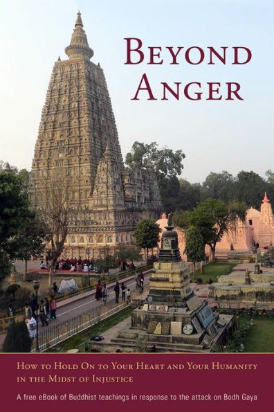 Beyond Anger: How to Hold On to Your Heart and Your Humanity in the Midst of Injustice