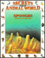 Sponges: Filters of the Sea